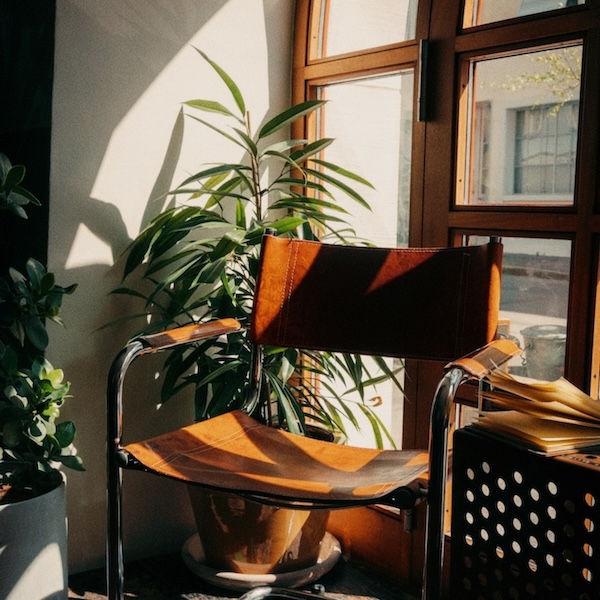 Casual Business Workspace