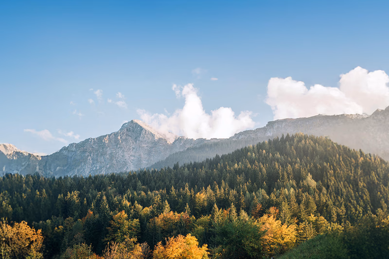 csm_headerneuherbst_937b22f1c7.jpg
