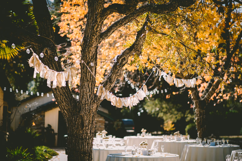 csm_ben-rosett-nYugmV-SY6s-unsplash_1c8bfd685f.jpg
