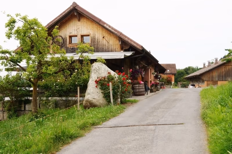 Holzfassade der Festhütte Näscht mit Zufahrt und Bepflanzung
