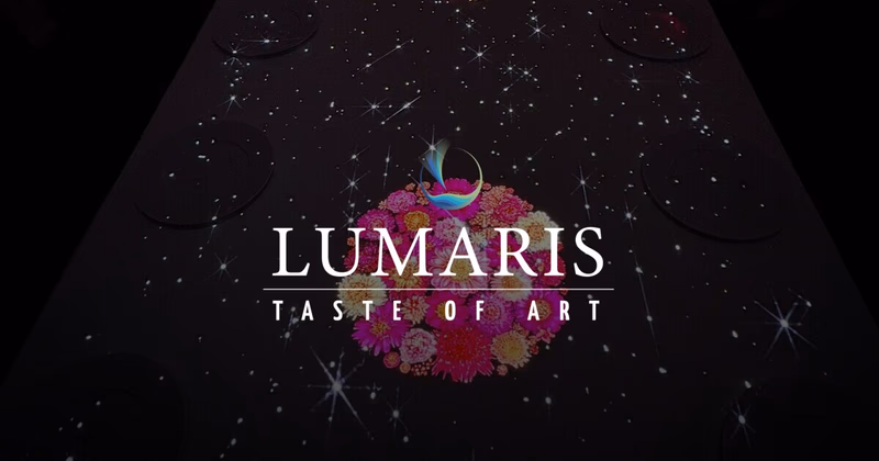 LUMARIS Taste of Art