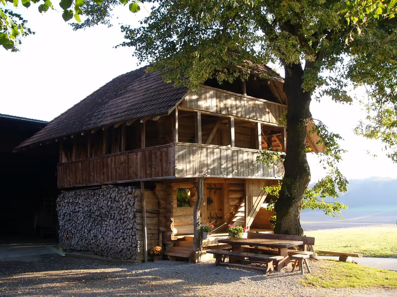 Linde-Spycher mit Obstbaum