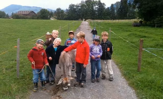 Titelbild