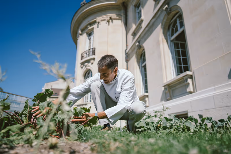 Alimentarium-Stiftung