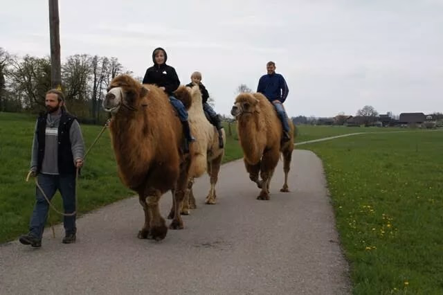 Titelbild