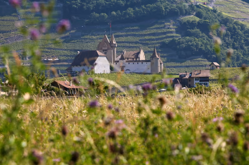 Château d'Aigle