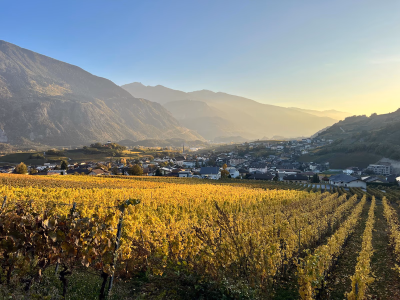 Weinwanderung Salgesch