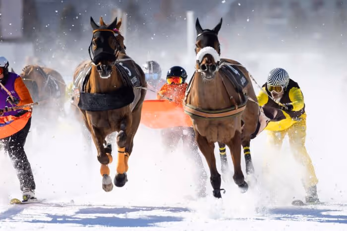 White Turf St. Moritz